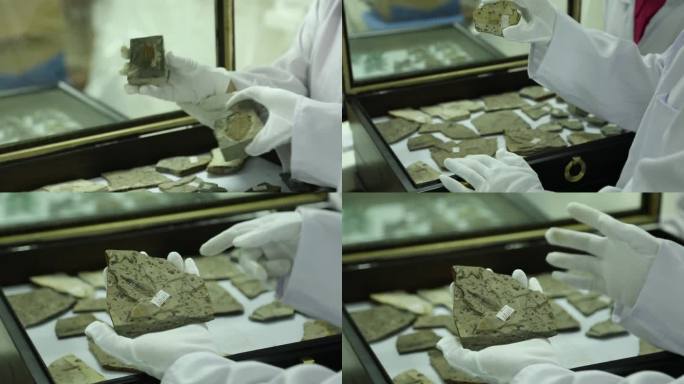 （4K）J四川都江堰节肢动物远古化石
