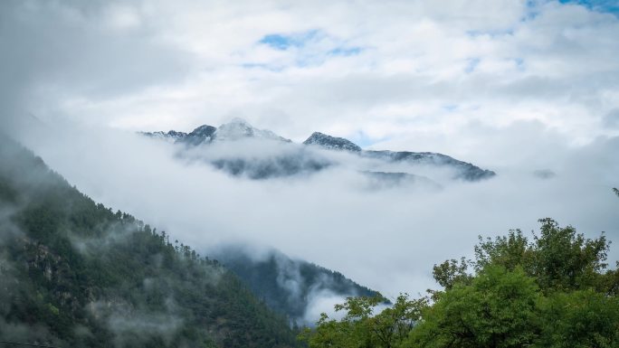 云雾山雾山林雾气树林自然雨林