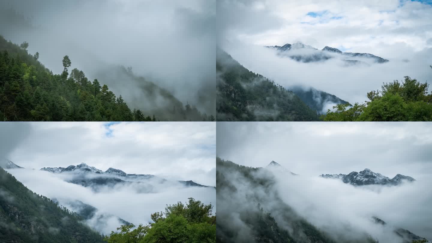 云雾山雾山林雾气树林自然雨林