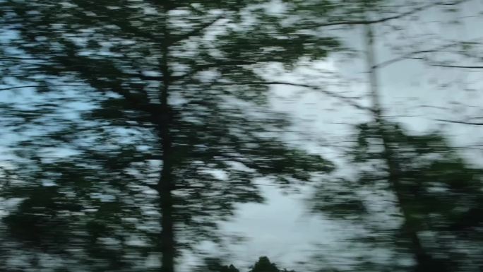 沿途飞速后退的树林 窗外风景窗外风光