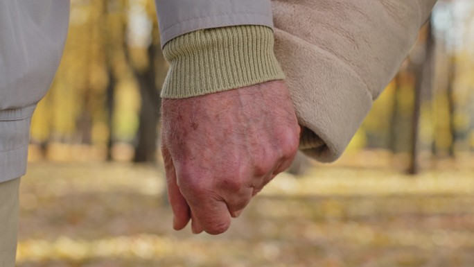 近两只手皱着老年夫妇手挽手浪漫的姿态中老年外公外婆成熟的伴侣支持婚姻关系爱心团聚在秋天公园户外