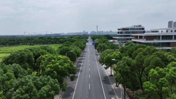 城市绿地和中间的道路航拍