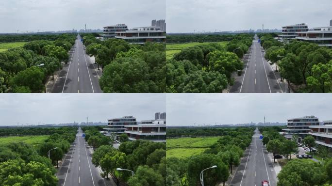 城市绿地和中间的道路航拍
