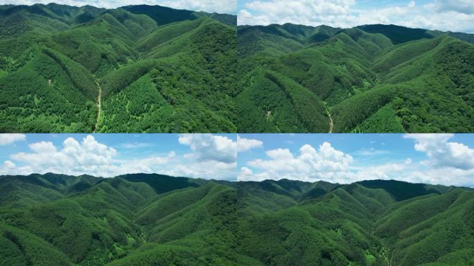 绿植大山环保治理蓝天阳光绿色自然天然氧吧