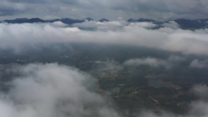 4K航拍福鼎茶山)