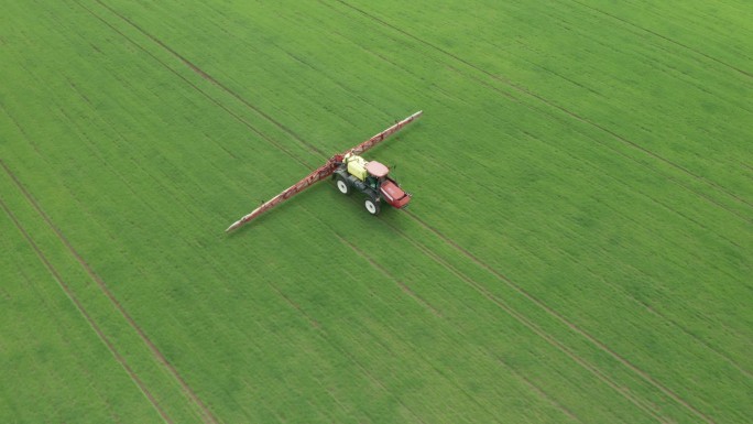 绿色农业小麦田拖拉机化学品施肥的航拍. 