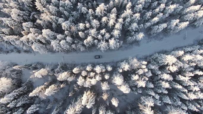 雪地路上的高空观景车