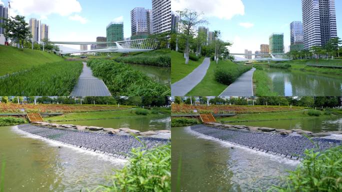 深圳城市环境保护，河流水道，生态4k视频