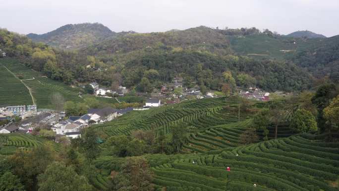 4K航拍杭州西湖龙井村茶山