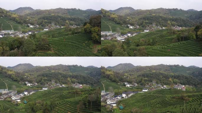 4K航拍杭州西湖龙井村茶山