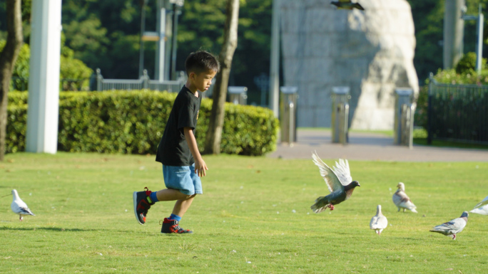 儿童快乐追逐鸽子