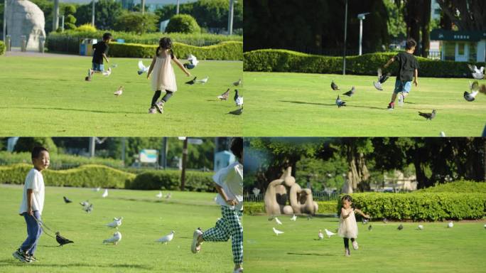 儿童快乐追逐鸽子