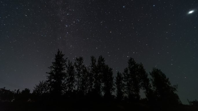 树林星空延时