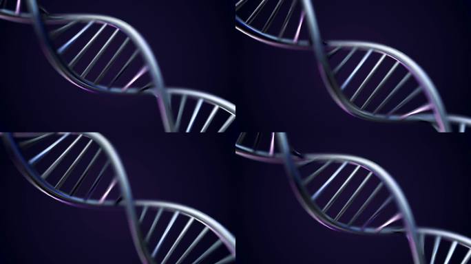 未来旋转白色Dna链与遗传代码和抽象几何。旋转Dna链的无缝循环动画。动画旋转的模型Dna螺旋从玻璃