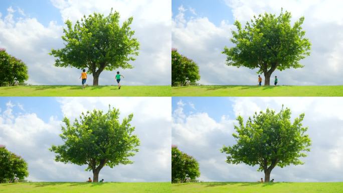 草坪上的一棵树 小孩大树下玩耍 童年