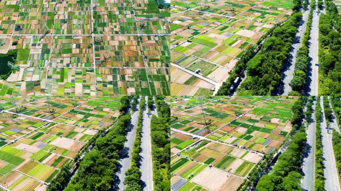 深圳高科技农业，现代生态农田灌溉