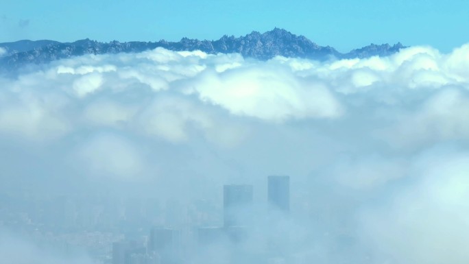 青岛崂山平流雾
