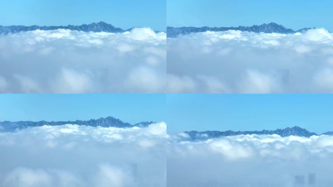 青岛崂山平流雾