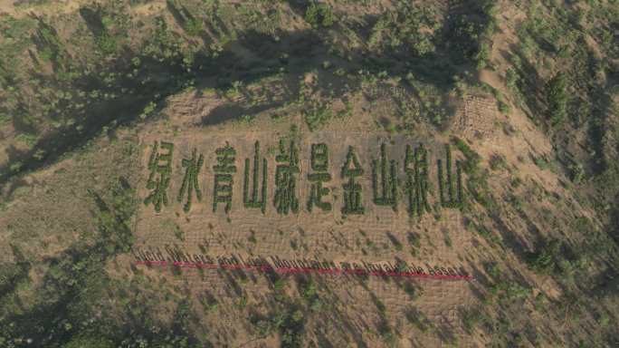 绿水青山就是金山银山 防风固沙 沙漠治理