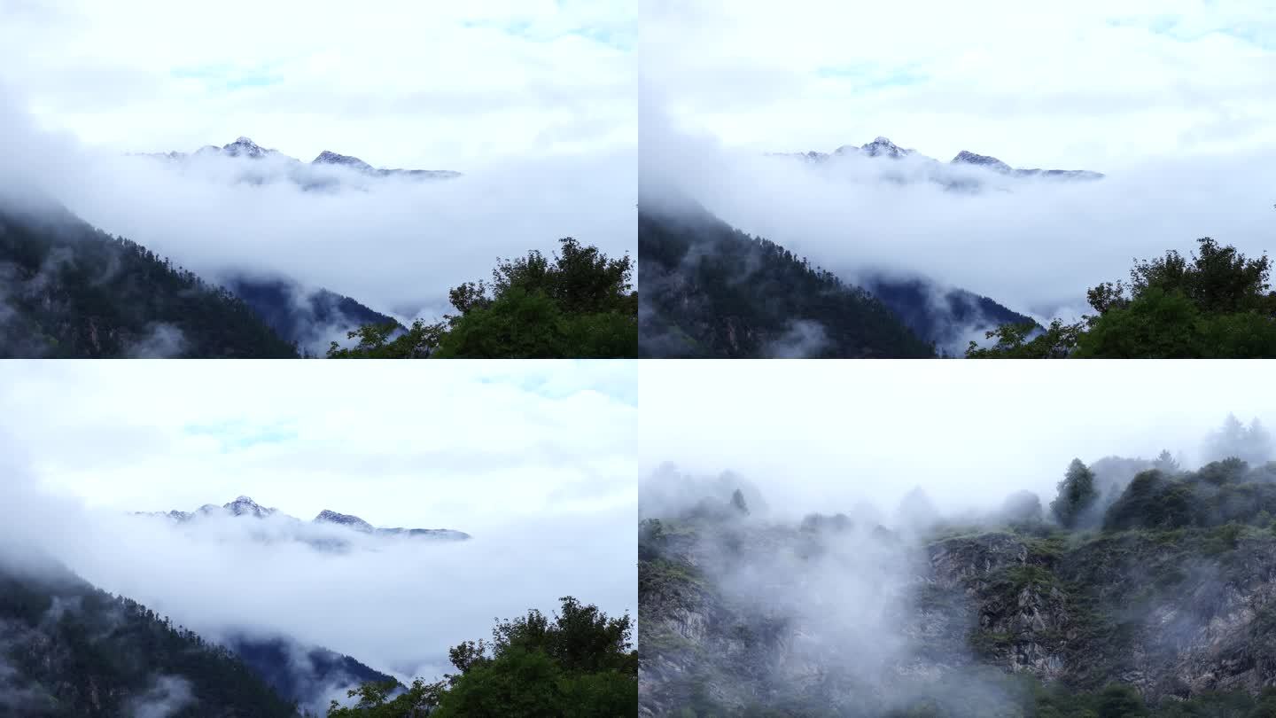 山雾山林雾气树林自然雨林