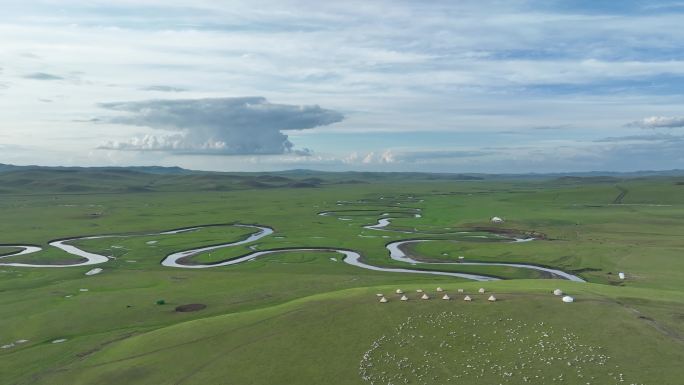航拍草原河畔牧场羊群
