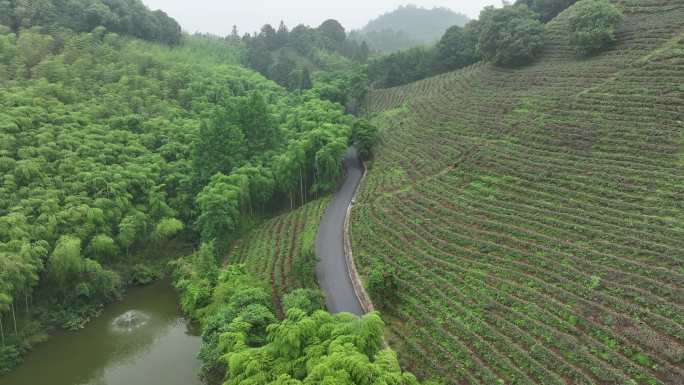 莫干山森林航拍2