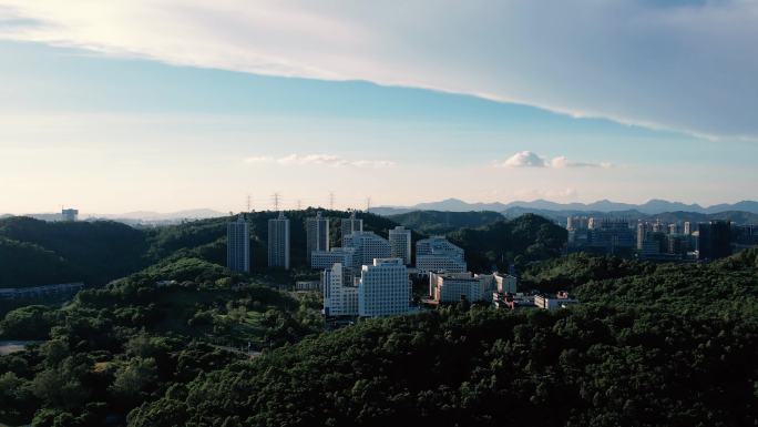 山林城市深圳龙岗建筑香港中文大学1/2