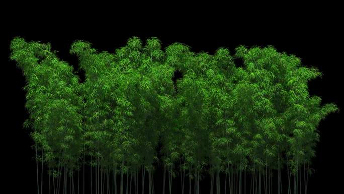4K超清无限循环竹林元素材
