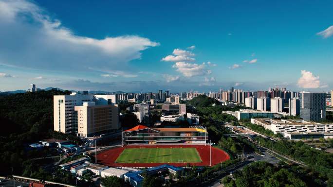 深圳龙岗建筑香港中文大学深圳校区2/3