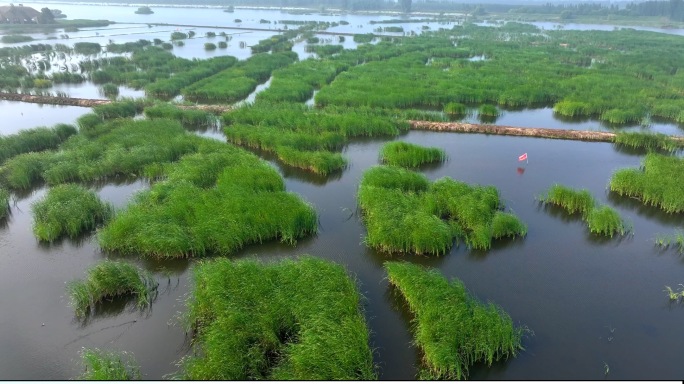 湿地公园 水产养殖 小龙虾养殖 优美环境
