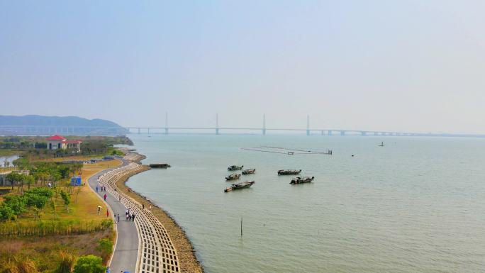 4k珠海金海大桥