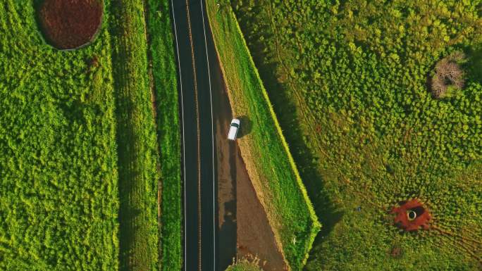 航拍汽车公路森林草地高山日出夏威夷可爱岛