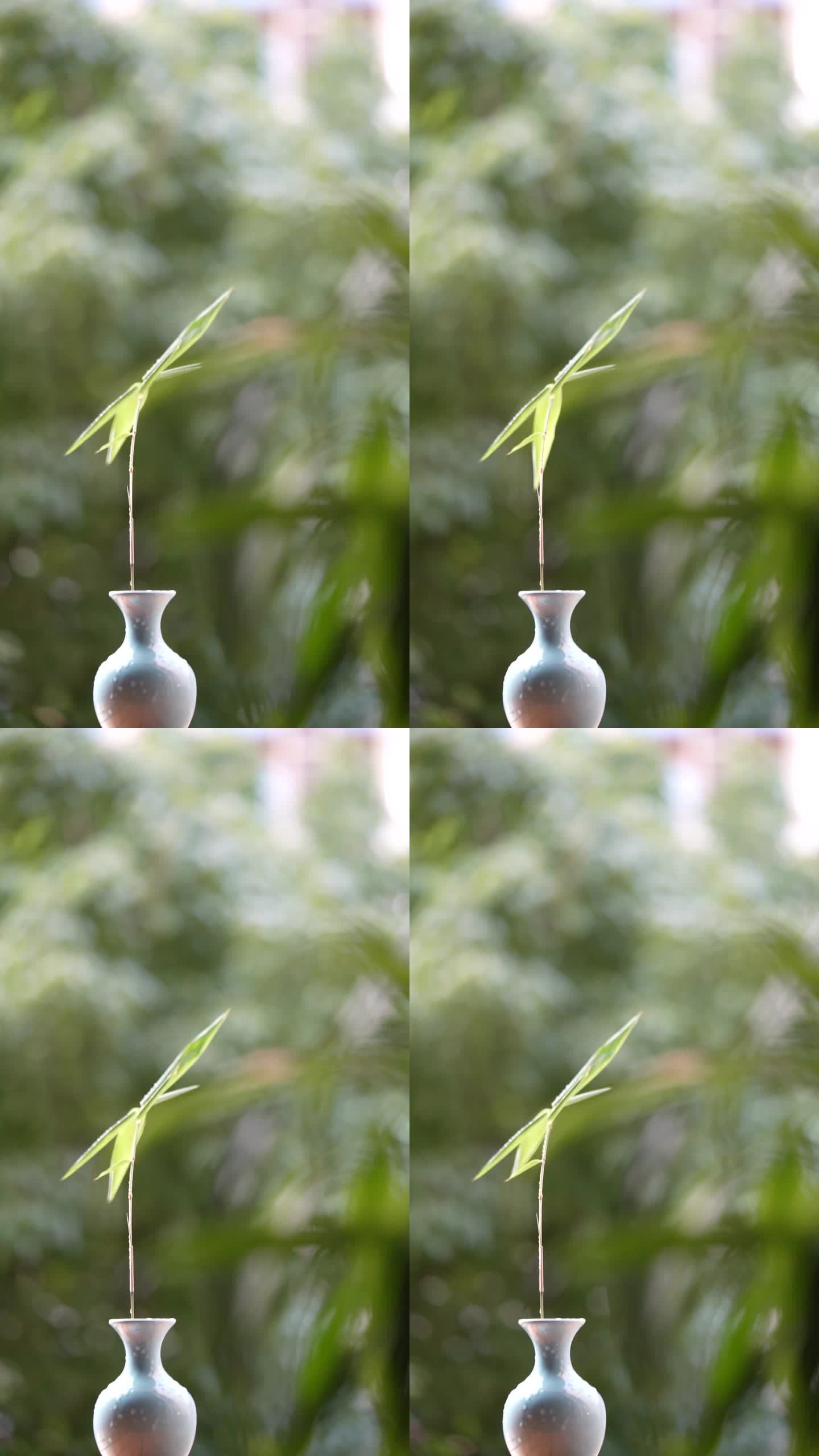 花瓶里插着竹子 竖屏