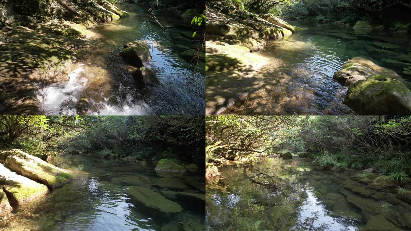 溪水溪流小溪自然风光贵州茂兰4K