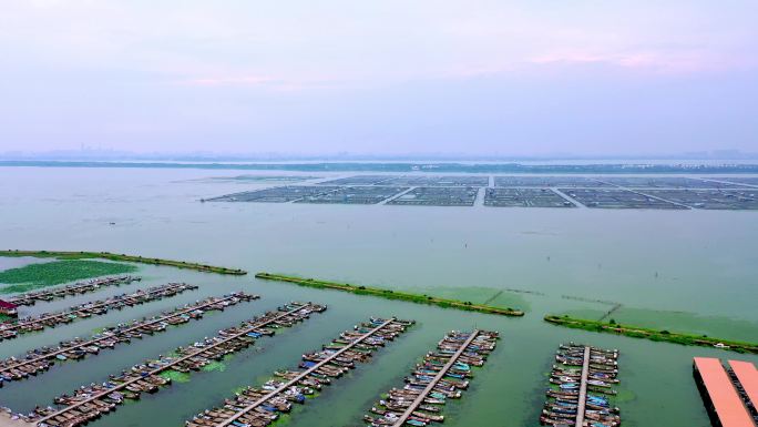 阳澄湖大闸蟹养殖区