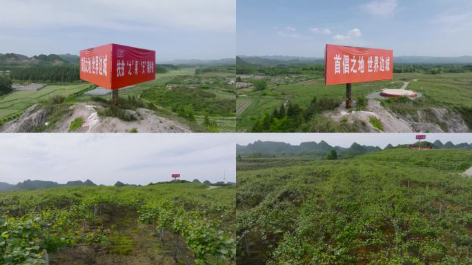 4K航拍湘西花垣十八洞猕猴桃产业基地5