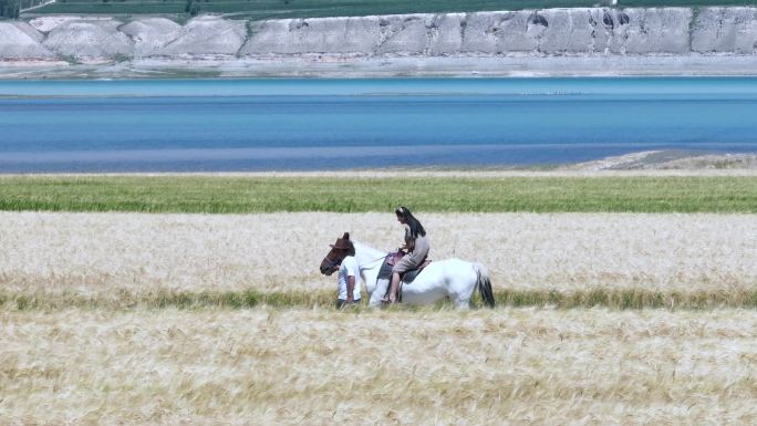 4k航拍新疆伊犁恰甫其海