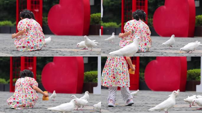 广场上喂鸽子的小女孩