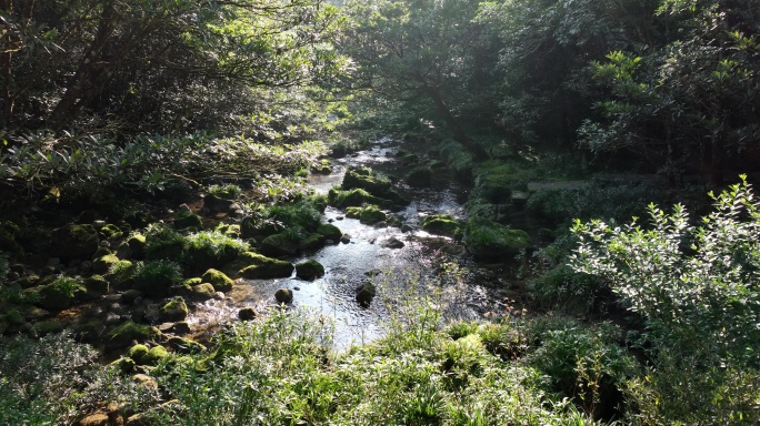 潺潺溪水 自然风光 贵州 茂兰 自然美景