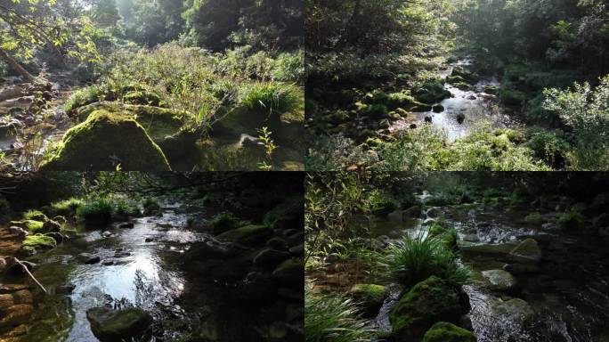 潺潺溪水 自然风光 贵州 茂兰 自然美景