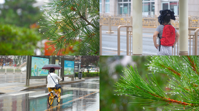 北京夏天小雨打伞路人百态以及雨中松针4k