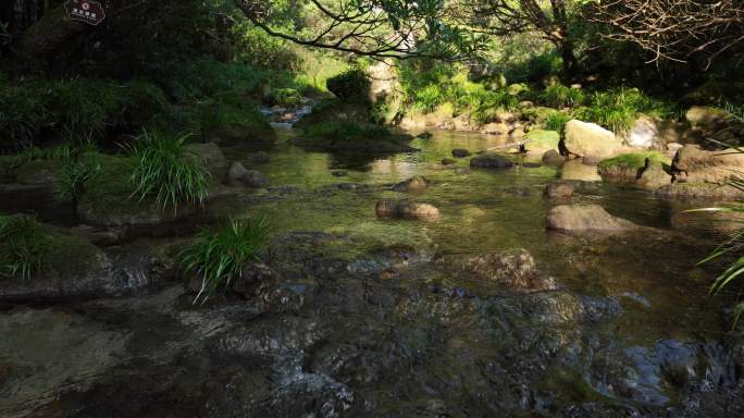 风景小溪 水流 清幽 意境 茂兰