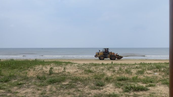 青岛海滨浒苔清理