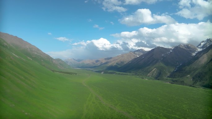 新疆伊犁唯美雪山草地