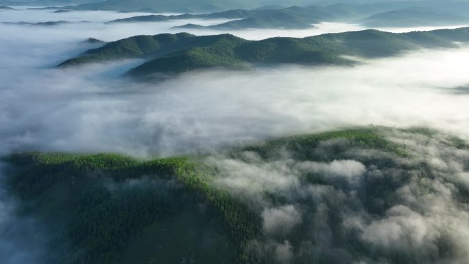 航拍辽阔绿色山林云海