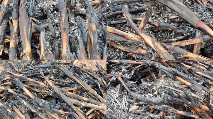 燃烧过后的炭烧炭烬熄灭的火堆桔杆火堆火碳