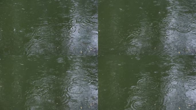 雨天雨滴打在湖面上溅起涟漪空镜
