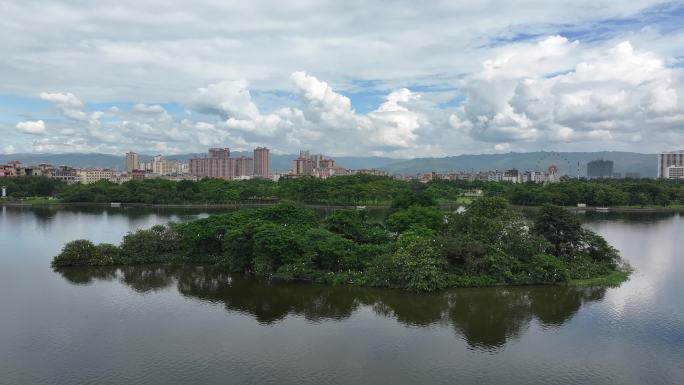 城市湿地公园中的鸟岛