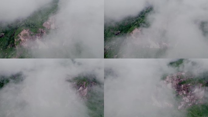 森林云雾航拍