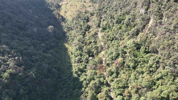 贵州荔波茂兰山脉原始森林航拍4K